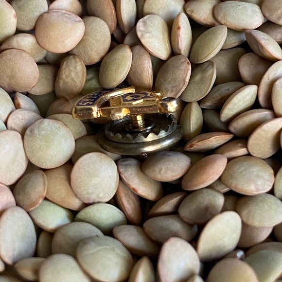 Masonic Temple 25 Years Service Sterling Silver with Diamonds Accent Lapel Pin - Picture 3 of 3